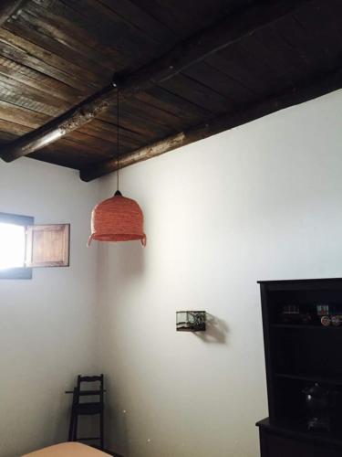Tenute Pacelli - Azienda Agricola – Malvito, NM