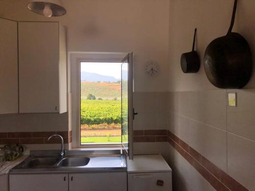 Tenute Pacelli - Azienda Agricola – Malvito, NM