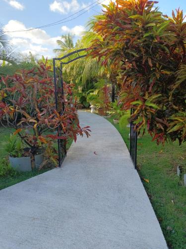 Ti Kaz en Nou' - Location saisonnière - Pointe-Noire