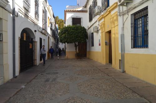 ALCAZAR VIEJO PARKING Tourist Córdoba, Córdoba (fotografie 4)