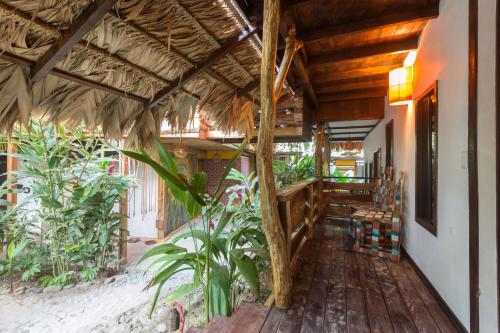 Balkon/Terrasse, Playa 506 Beachfront Hostel in Puerto Viejo de Talamanca