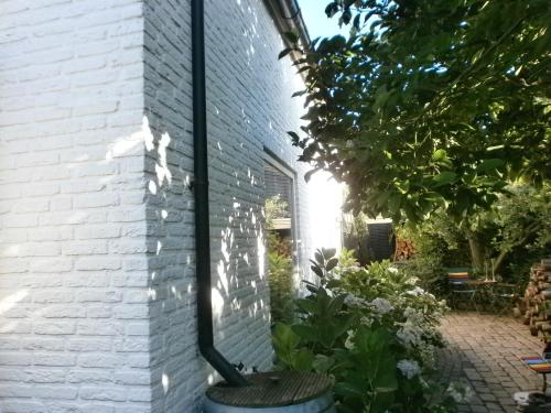 Bed and Breakfast Azzurro - image 14