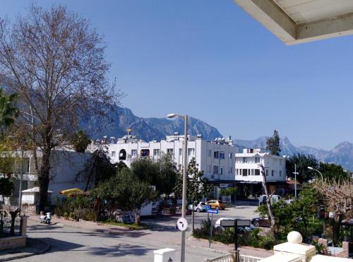 Dinara Hotel - image 9