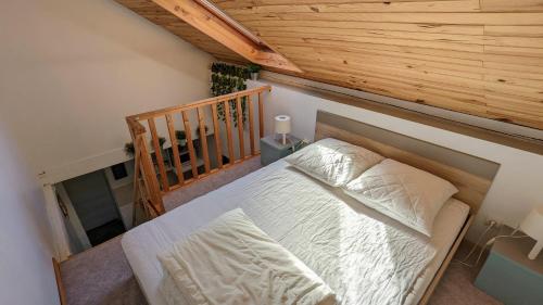 Studio Mezzanine Chez Papou, Ville et Forêt, Strasbourg (photo 6)