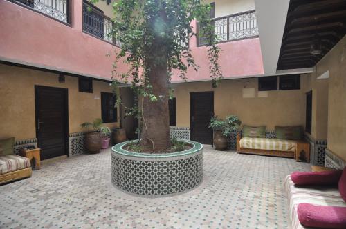 Djemaa El Fna Hotel Cecil Marrakech