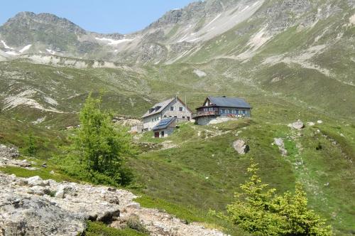 Apart Maurice - image 4