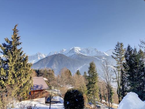 Mont Alt, F2 40m2 en rdc, calme, Vue Mt Blanc - Apartment - Passy Plaine Joux