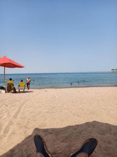 Apartment in Porto Sharm VIP