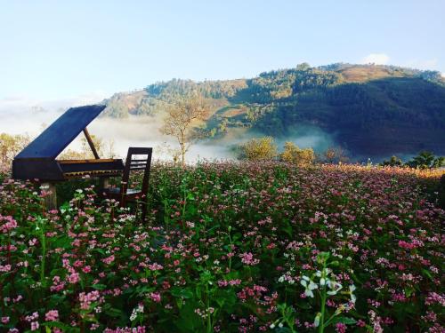 Mu Cang Chai Big view homestay