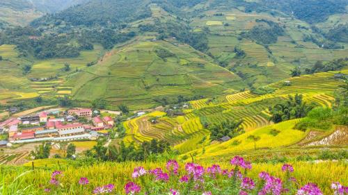 Mu Cang Chai Big view homestay