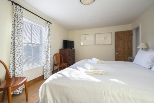 Bird Sisters Cottage with Free Parking - image 4