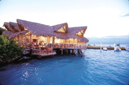 Tortuga Bay - image 3