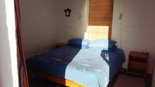 Caelis, St Helena Bay (fotografie 5)
