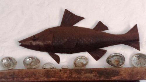Caelis, St Helena Bay (fotografie 9)