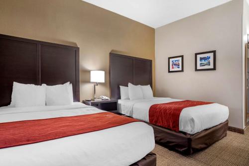 Comfort Inn Towson