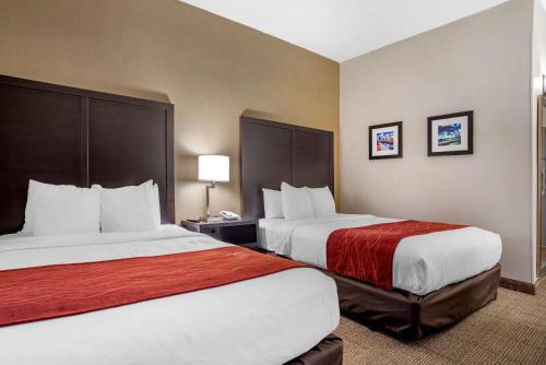 Comfort Inn in Towson, USA