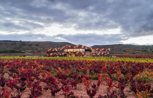 Hotel Bodega FyA - GRUPO PIÉROLA, Navarrete bei Viñaspre