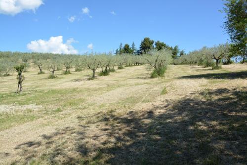 Casale Fusco - image 2