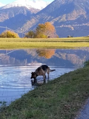 casa vacanza da ghislin