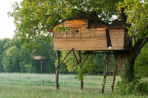 Dihan Evasion- Outdoor accommodations - image 13