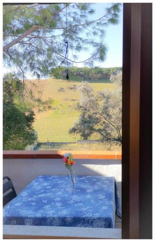 Tuffo nel blu - Casa Casoni - image 5