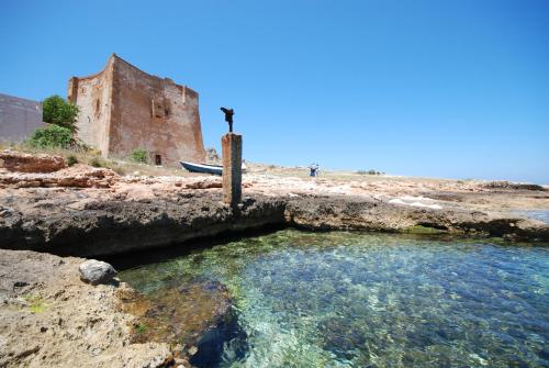 Terra d'amare – Castelluzzo, CA