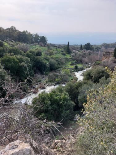 וילה שחר בגולן