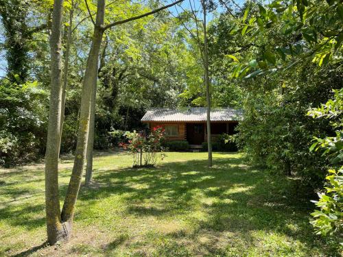 Chalet privé en Provence - Location, gîte - Saint-Rémy-de-Provence