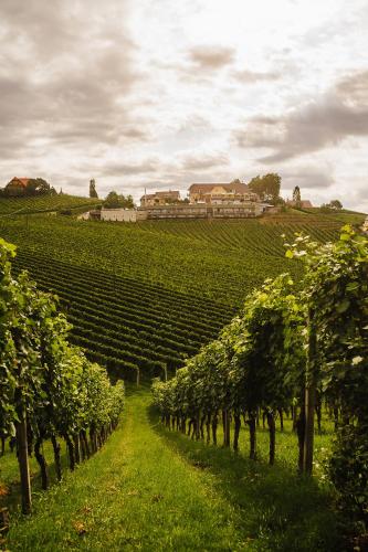 Weinrefugium Brolli - Hotel - Gamlitz