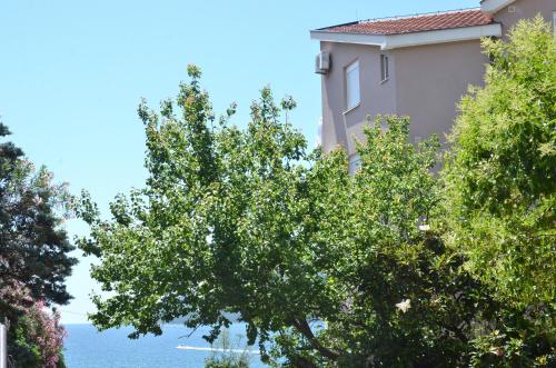 Apartments Bellevue - Otasevic - image 5