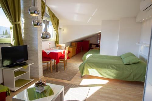 Apartments Jansa - image 13