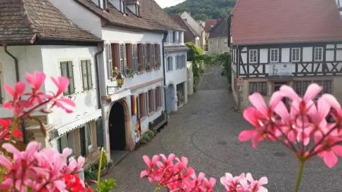 Waldblick in Neustadt an der Weinstraße, Deutschland