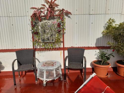 La Terraza, Vinarós (fotografie 8)