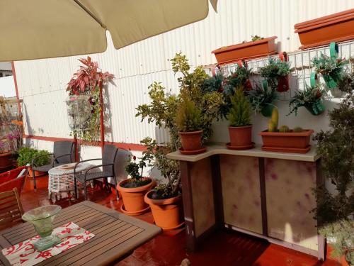 La Terraza, Vinarós (fotografie 5)
