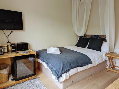 Brookview Guest House, Londýn (fotografie 9)