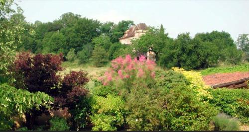 Château de Béduer and Vacation Homes