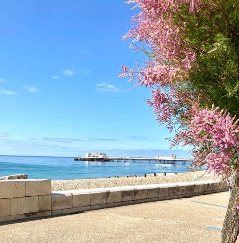 Picture of Gorgeous Central Studio With Balcony, 2 Mins To Beach And Pier