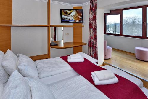 Hotel du Lac - image 2