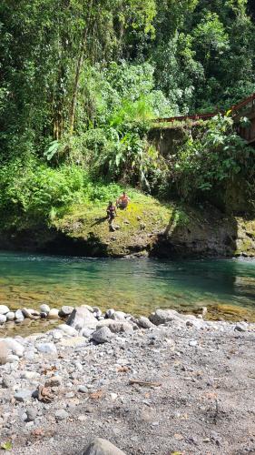 Los Gallitos Eco Lodge