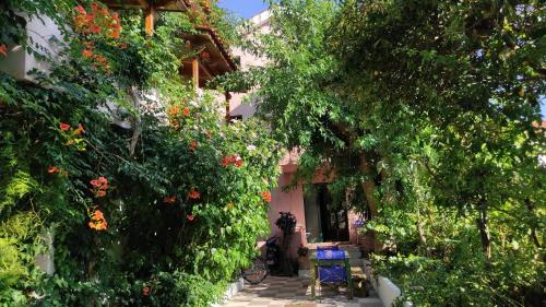 Staggia Studios - image 9