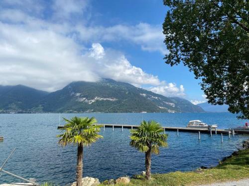 Herrlicher Blick auf Berge und See