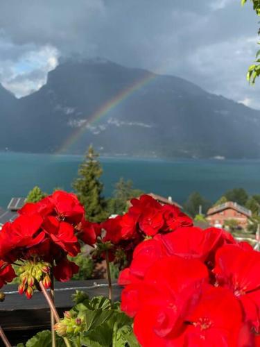 Herrlicher Blick auf Berge und See