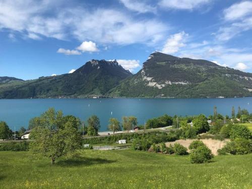 Herrlicher Blick auf Berge und See