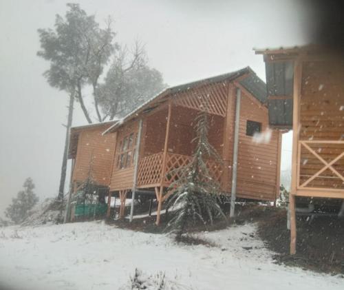 Golden valley cottages, Chail