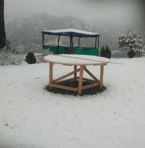 Golden valley cottages, Chail photo