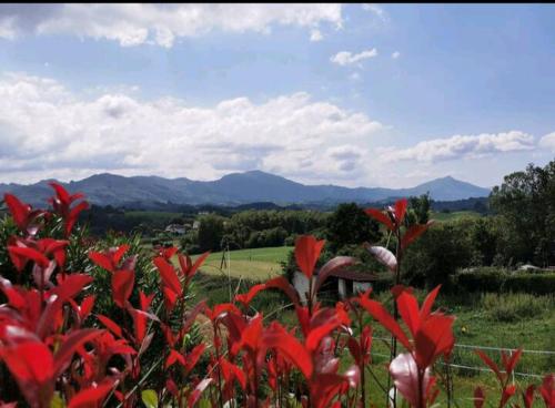 MAISON ELORRIENEA cottage Zugarramurdi