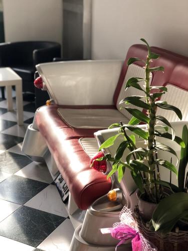 Comida y bebida, Albergo Moderno in Modena