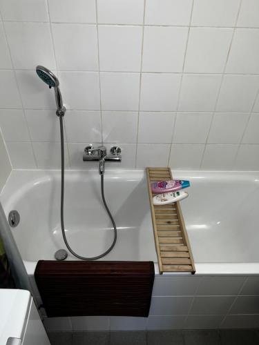 Beautiful Large Studio in center of Geneva Free Wifi, Genewa (zdjęcie 10)
