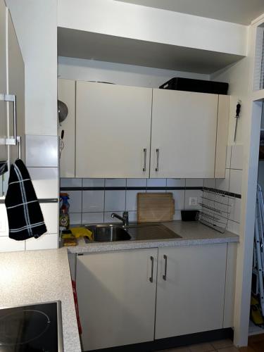 Beautiful Large Studio in center of Geneva Free Wifi, Genewa (zdjęcie 8)