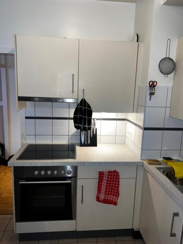 Beautiful Large Studio in center of Geneva Free Wifi, Genewa (zdjęcie 7)